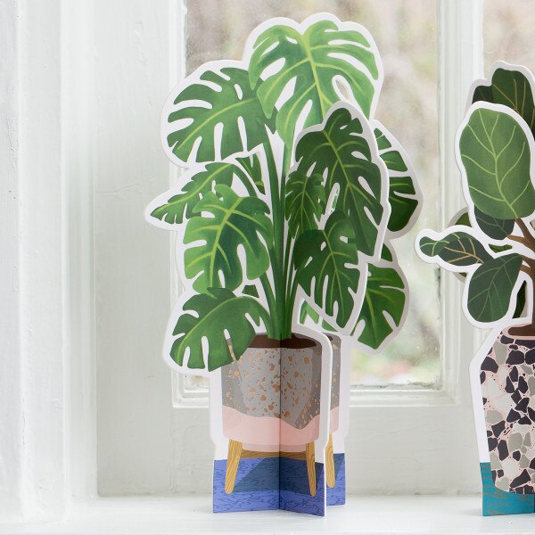Monstera Paper Plant 2